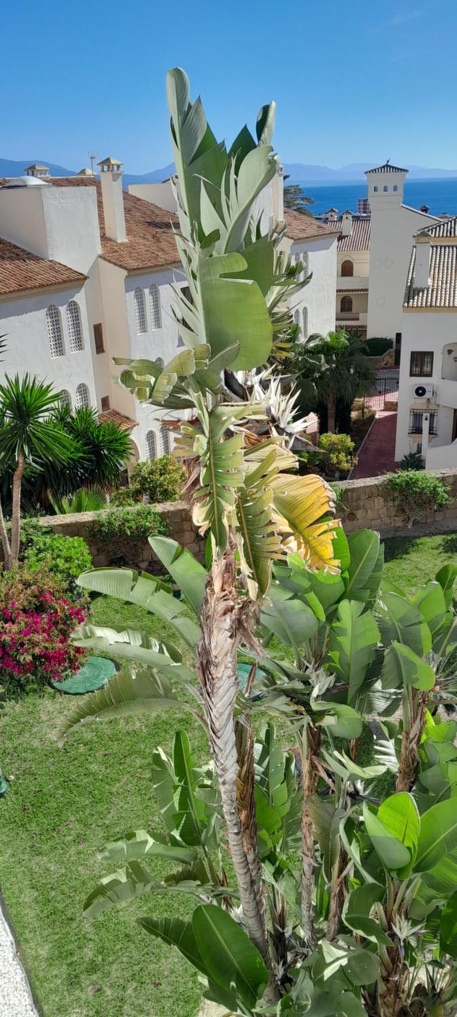 Apartment Urbanizacion Duquesa Golf And Garden Beautiful View *